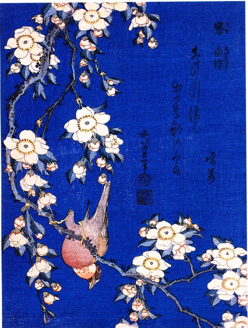Uso shidarezakura Cardellino e ciliegio piangente, Katsushika Hokusai,1834 - Paris, Musée Guimet.